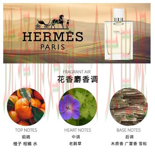 亚盈体育最新网站入口解析 亚盈体育最新网站入口解析