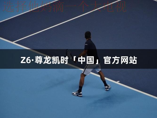 尊龙平台入口体验指南