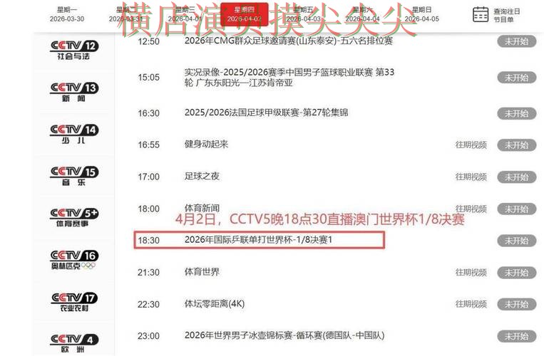 世界杯投注平台推荐解析：聚焦用户反馈与赛事直播体验 - 世界杯官方信息