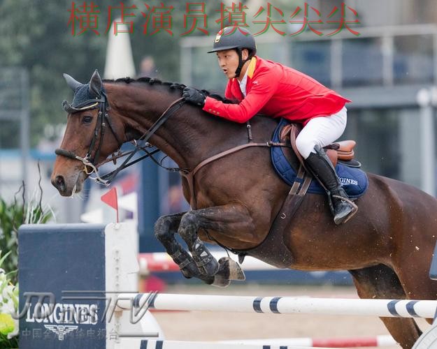 世界杯全球总决赛背景下的世界杯买球平台揭秘与数据分析直播解析